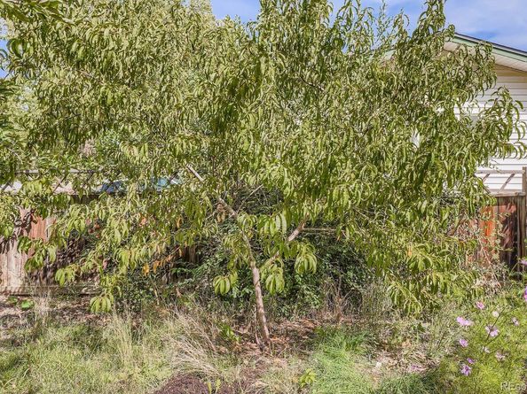 1190 Norfolk Street, Aurora CO 80011