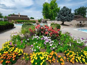 3292 S Oneida Way, Denver CO 80224
