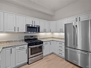 45 N Ogden Street 204, Denver CO 80218