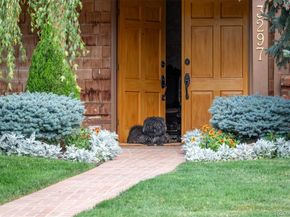 3297 S Oneida Way, Denver CO 80224