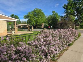 5490 Garland Street, Arvada CO 80002