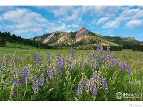 1430 18th Street 1, Boulder CO 80302
