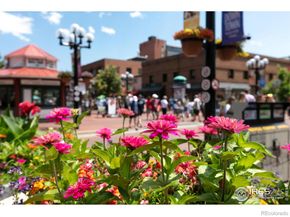 7401 Deerfield Road, Longmont CO 80503