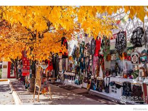 110 W Emma Street A, Lafayette CO 80026