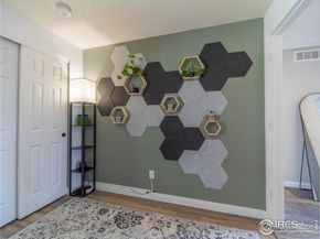 13146 Raritan Court, Denver CO 80234