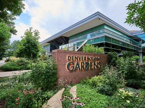 1260 York Street 208, Denver CO 80206