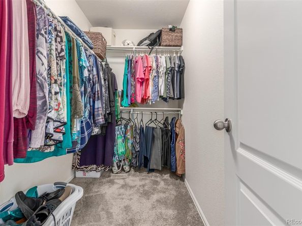 14008 Jackson Street, Thornton CO 80602