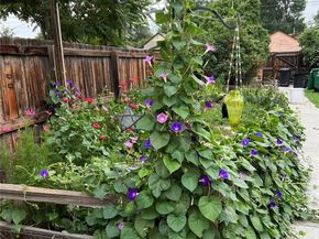 1258 Valentia Street, Denver CO 80220