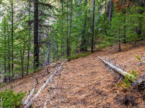 31390 Highway 72, Golden CO 80403