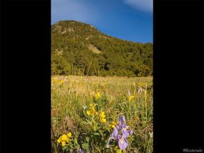 63 Canyon Pines Drive, Arvada CO 80403