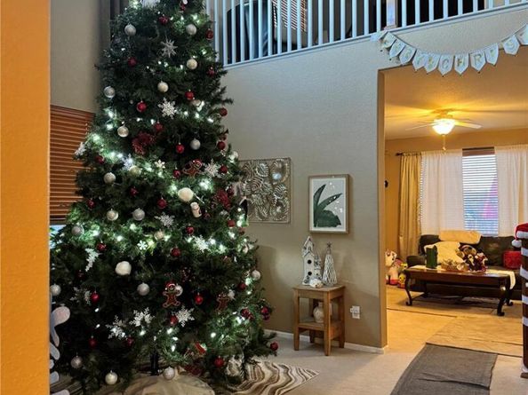 15523 E 117 Avenue, Commerce City CO 80022