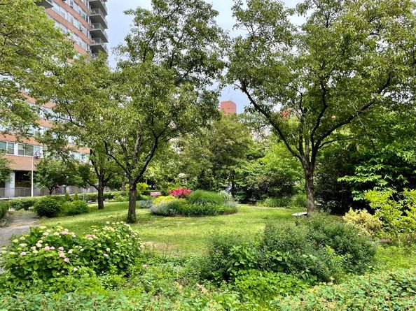 215 Park Row 8F, New York NY 10038