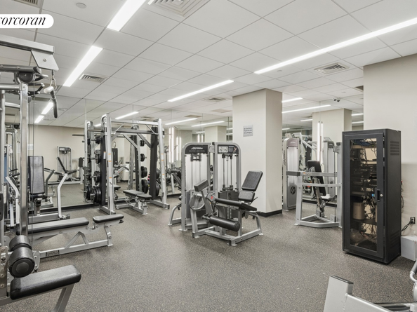 425 Main Street 3P, New York NY 10044