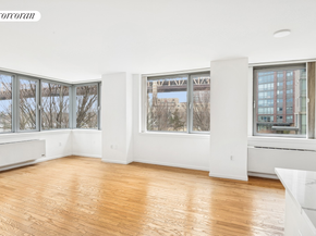 425 Main Street 3P, New York NY 10044