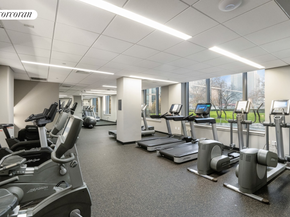 425 Main Street 3P, New York NY 10044