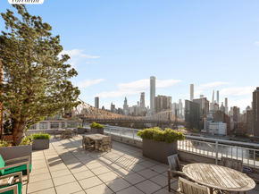 425 Main Street 3P, New York NY 10044