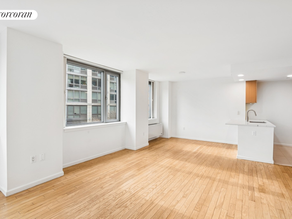 425 Main Street 3P, New York NY 10044