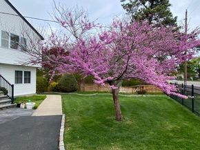 55 Parkway Avenue, Amityville NY 11701