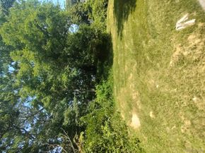 121 Woodland Drive, Mastic Beach NY 11951