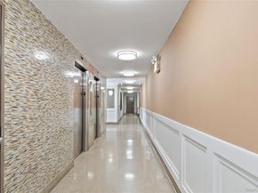 971 Jerome Street 8D, Brooklyn NY 11207