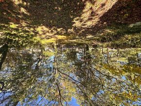 Undisclosed Address #924748, Roosevelt NY 11575