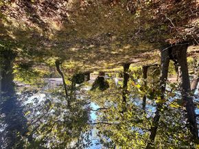 Undisclosed Address #924748, Roosevelt NY 11575