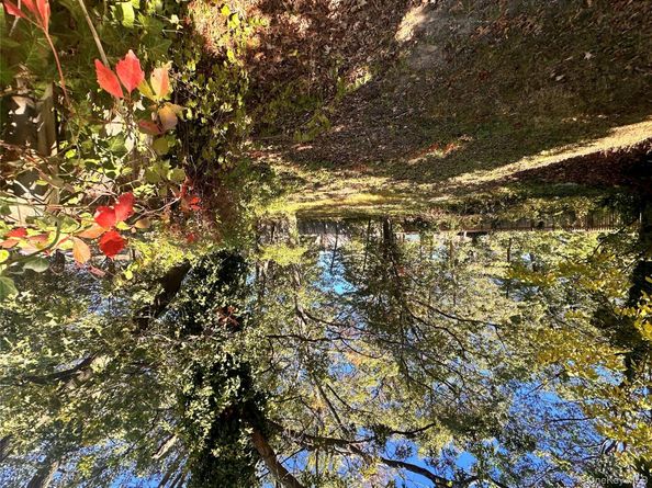 Undisclosed Address #924748, Roosevelt NY 11575