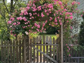 202 Gerard Road, Yaphank NY 11980