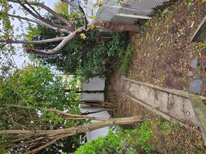 60-66 60th Street, Maspeth NY 11378