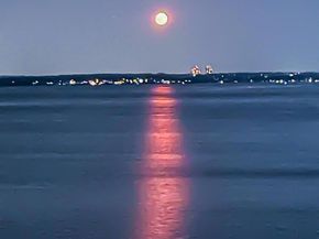 1110 Stadium Avenue 5F, Bronx NY 10465