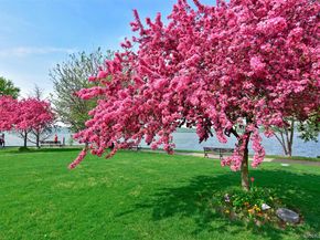 206 Legend Drive, Sleepy Hollow NY 10591