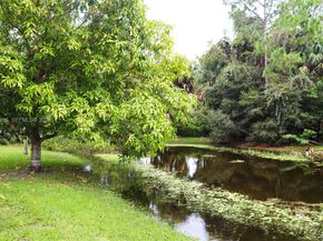 16930 W Mead Hill Dr, Loxahatchee FL 33470
