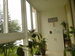 9241 Sunrise Lakes Blvd 201, Sunrise FL 33322