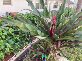 3133 S Ocean Dr 118, Hallandale Beach FL 33009
