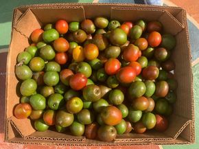 10955 SW 56th St, Miami FL 33165