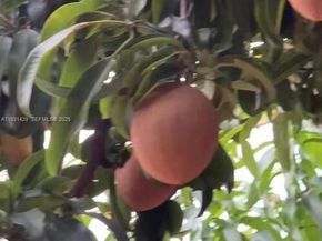 10955 SW 56th St, Miami FL 33165