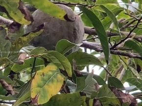 10955 SW 56th St, Miami FL 33165