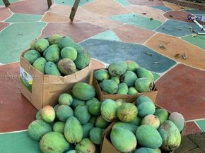 10955 SW 56th St, Miami FL 33165