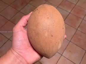 10955 SW 56th St, Miami FL 33165