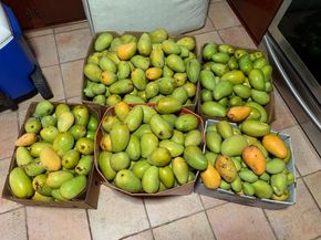 10955 SW 56th St, Miami FL 33165