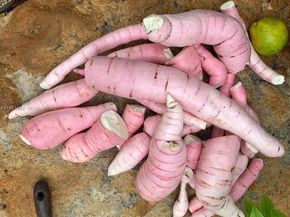 10955 SW 56th St, Miami FL 33165