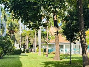 1333 E Hallandale Beach Blvd 134, Hallandale Beach FL 33009