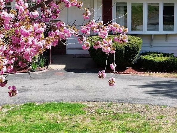 503 Page Street, Avon MA 02322