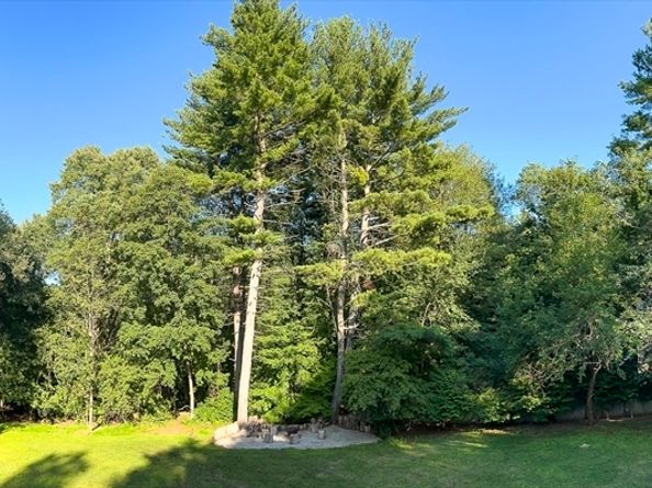 60 Pleasant, Natick MA 01760