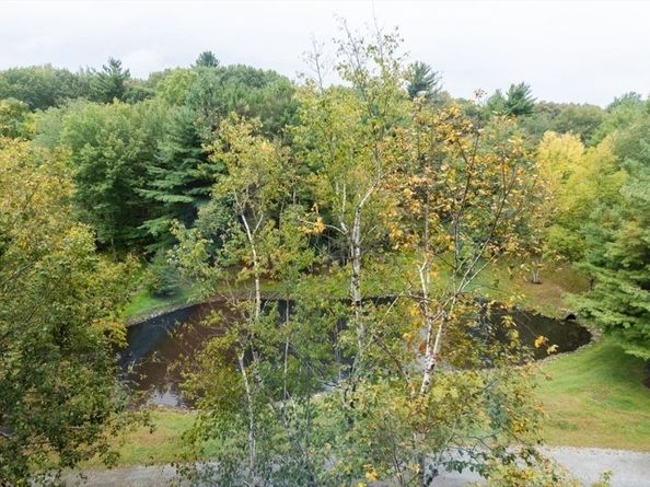 79 Florence St 402S, Newton MA 02467