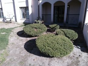 685 Oak Street 21, Brockton MA 02301