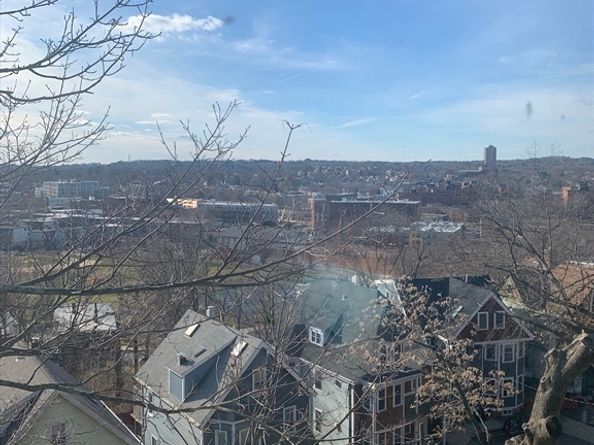 63 Beech Glen, Boston MA 02119