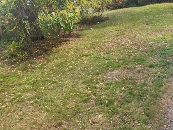 46 Wilmarth Rd,, Randolph MA 02368