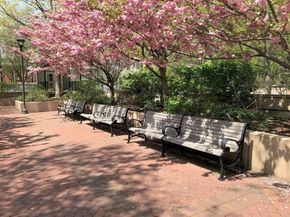 9 Hawthorne Place 2J, Boston MA 02114