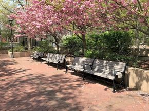 9 Hawthorne Place 2J, Boston MA 02114